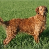 jo_img_9889