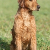 klein_img_0079