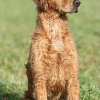 klein_img_0081