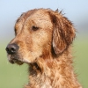 klein_img_0087