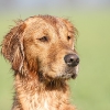 klein_img_0098