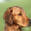 klein_img_0114