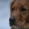 klein_img_1627