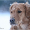 klein_img_2653