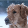 klein_img_2656