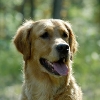 adsc_0013