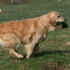 jo_img_7375