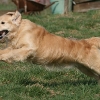jo_img_7397
