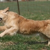 jo_img_7399