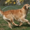 jo_img_7568