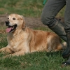 jo_img_7599