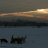 jo_himmel