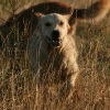 jo_img_4299