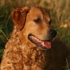 jo_img_4369