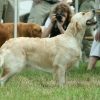 jo_img_6394