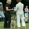 jo_img_6452