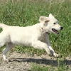 klein_img_1762