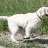klein_img_1763
