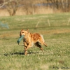 comp_img_3476