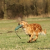 comp_img_3479