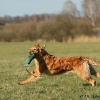 comp_img_3482