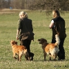 comp_img_3533