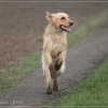 jo_img_8446