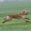 jo_img_8458
