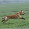 jo_img_8459