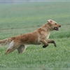 jo_img_8462