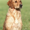 klein_img_0118