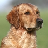 klein_img_0122