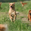 klein_img_1580