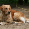 klein_img_1713