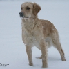 klein_img_2641