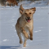 klein_img_3986