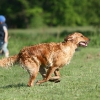 klein_img_7115